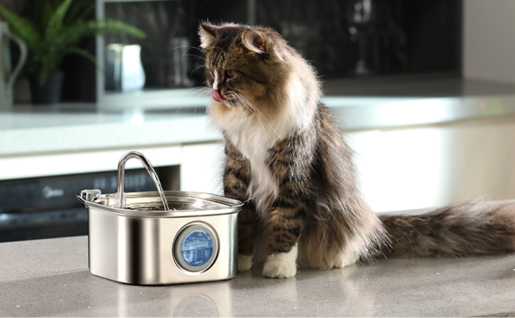 3.2L Stainless Steel Automatic Electric Pet Water Fountain