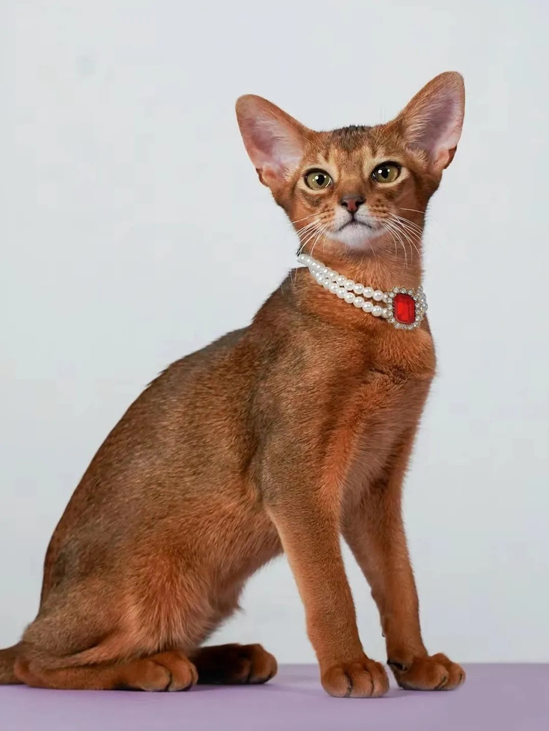 Red Diamond Double Strand Pearl & Rhinestone Pet Necklace - Luxury Collar Size M (25-31CM)