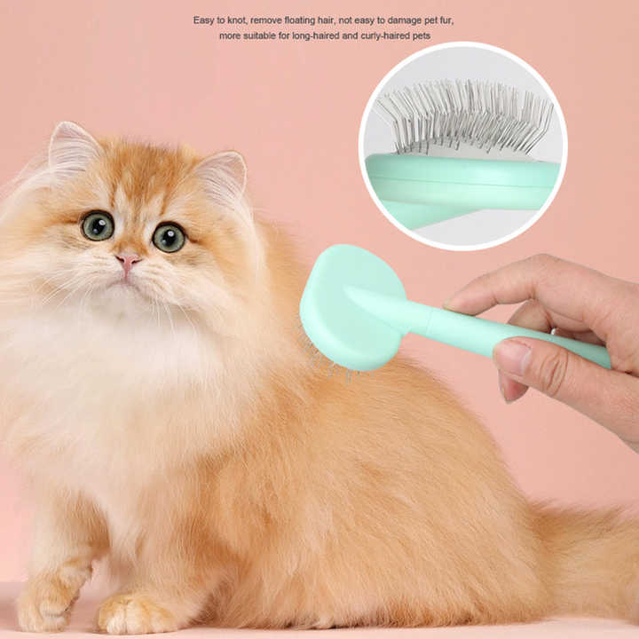Green And Blue Complete 5-in-1 Pet Grooming Care Kit